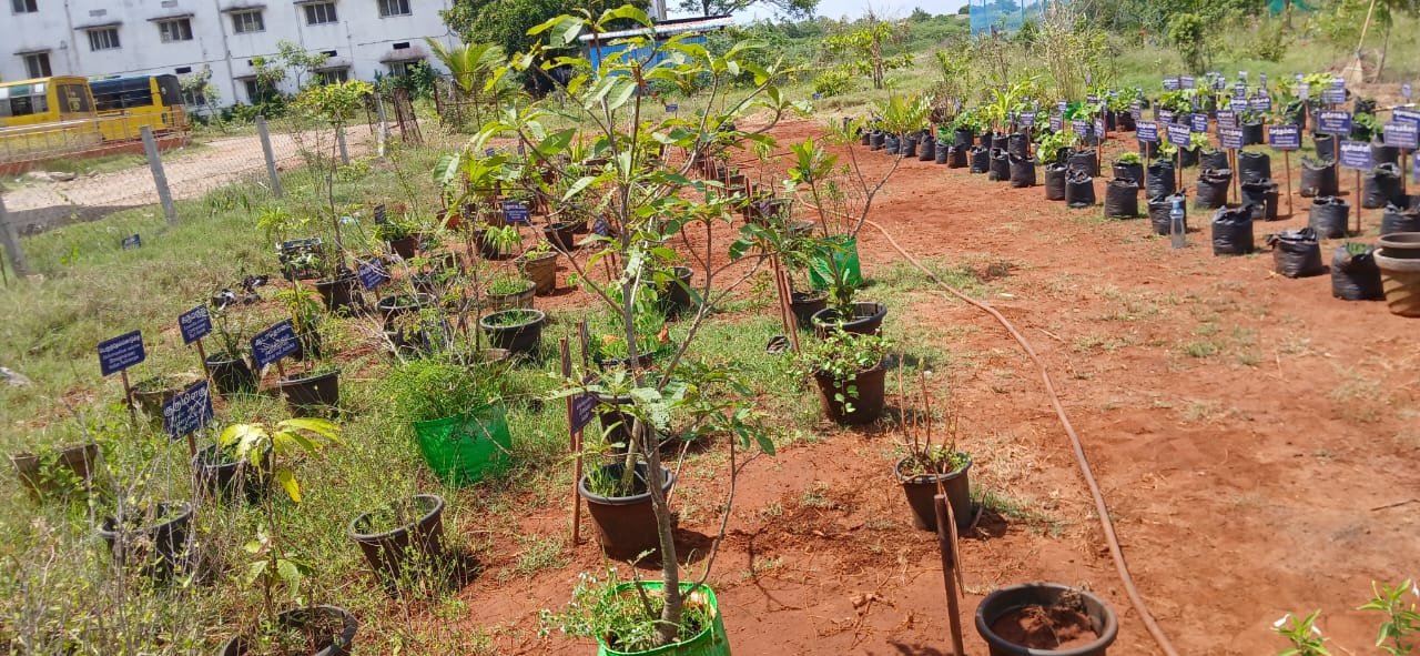 Herbal Garden
